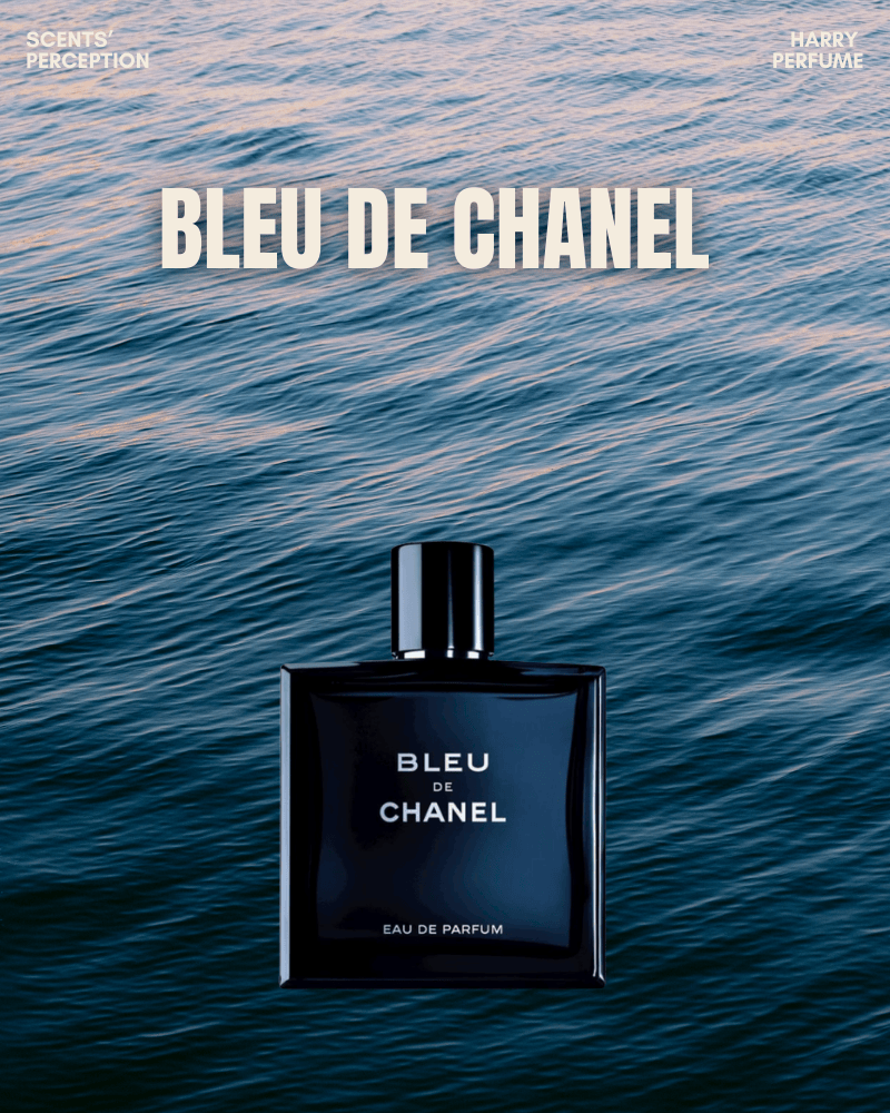 Nước hoa mùi gỗ trầm/da thuộc – “vũ khí” quyến rũ thầm lặng, giúp chàng nam tính, quyền lực và để lại dấu ấn không thể nhầm lẫn