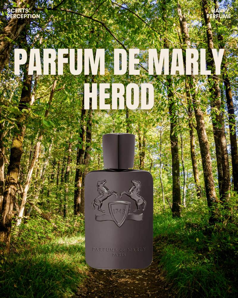 Herod là biểu tượng của sự xa hoa thầm lặng và quyền lực nam tính