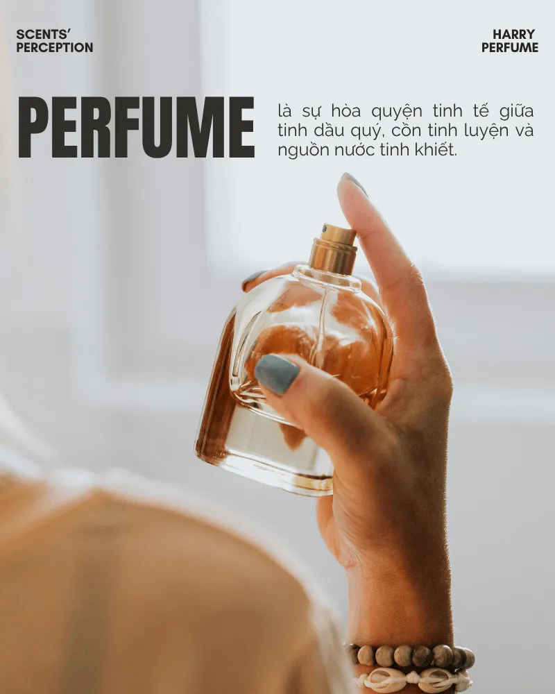 Perfume là sự hòa quyện tinh tế giữa tinh dầu quý, cồn tinh luyện và nguồn nước tinh khiết.