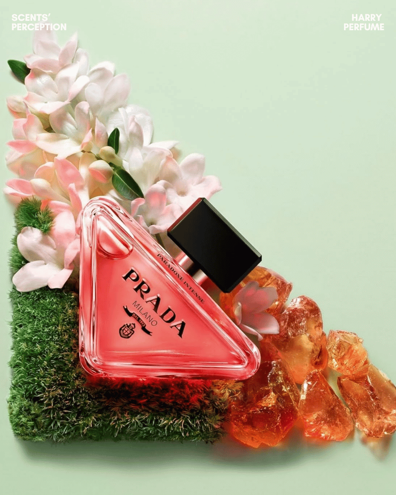 Paradoxe EDP bám tỏa dễ chịu, linh hoạt ban ngày, còn Intense nổi bật hơn, hợp buổi tối, trời mát