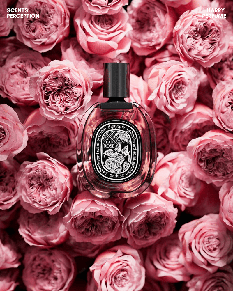 Eau Rose kết hợp hoa hồng Damascena và Centifolia, tạo nên hương thơm tự nhiên, thanh thoát, nữ tính và nhẹ nhàng.