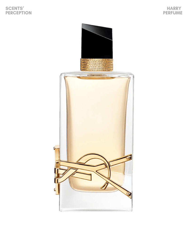 YSL mang hương thơm sang trọng, dễ nhận diện và quyến rũ