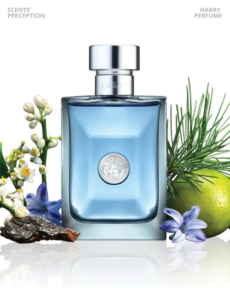 Tầng hương Versace Pour Homme EDT chuyển từ tươi mát citrus sang lịch lãm thảo mộc, kết thúc ấm áp nhẹ, nam tính
