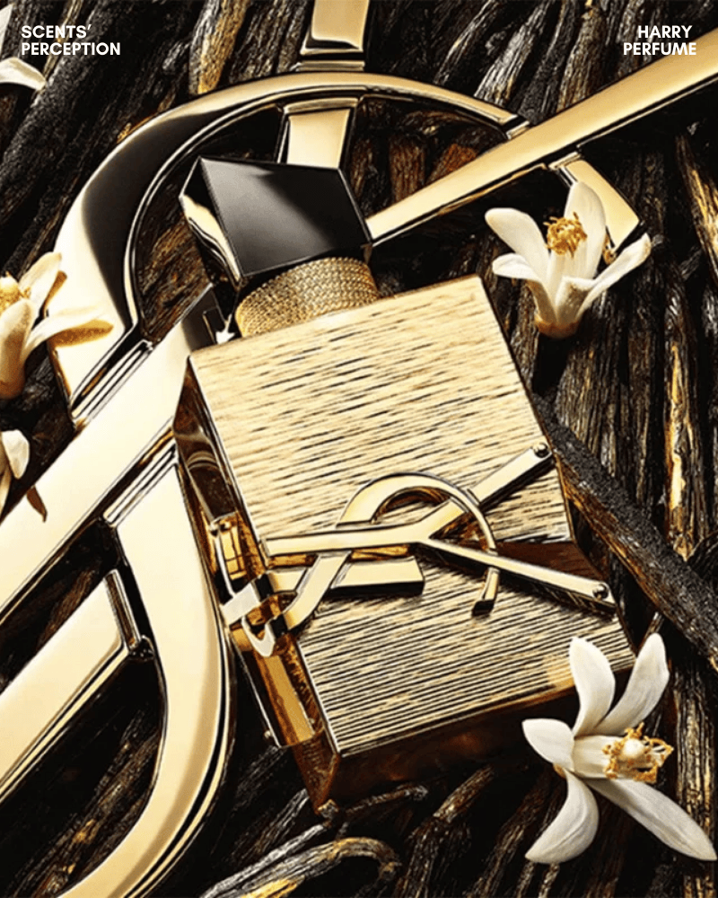 Thiết kế Libre Vanille Couture giữ biểu tượng Libre, phủ vàng vanille couture, logo Cassandre táo bạo, toát khí chất.