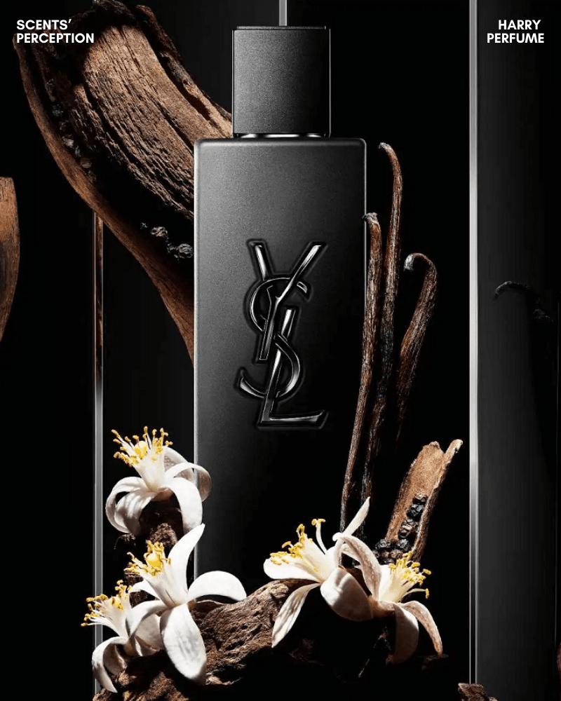 YSL MYSLF EDP mang tone cam chanh, hoa cam sạch sẽ, phối xạ hương hoắc hương, nam tính tối giản