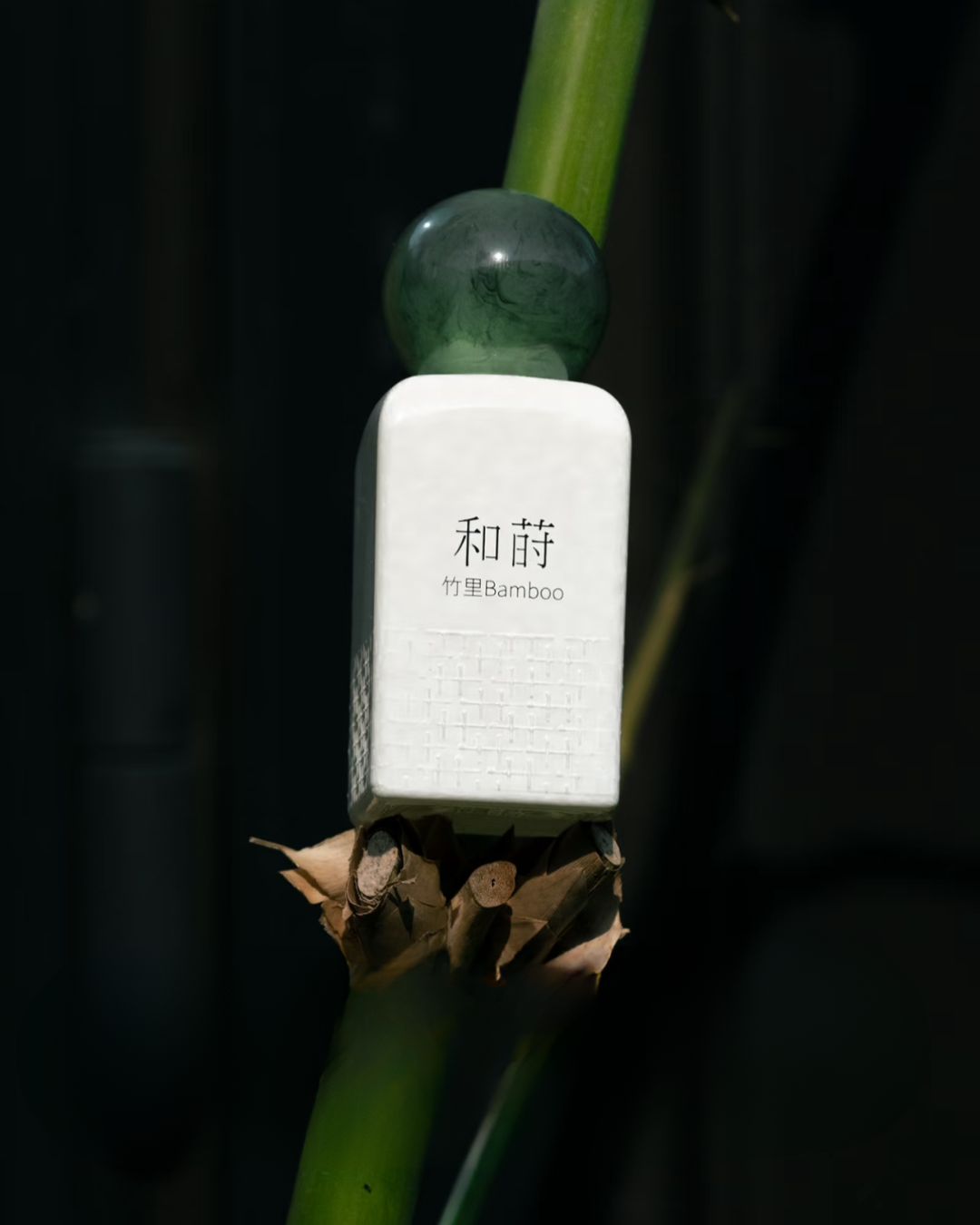Bamboo