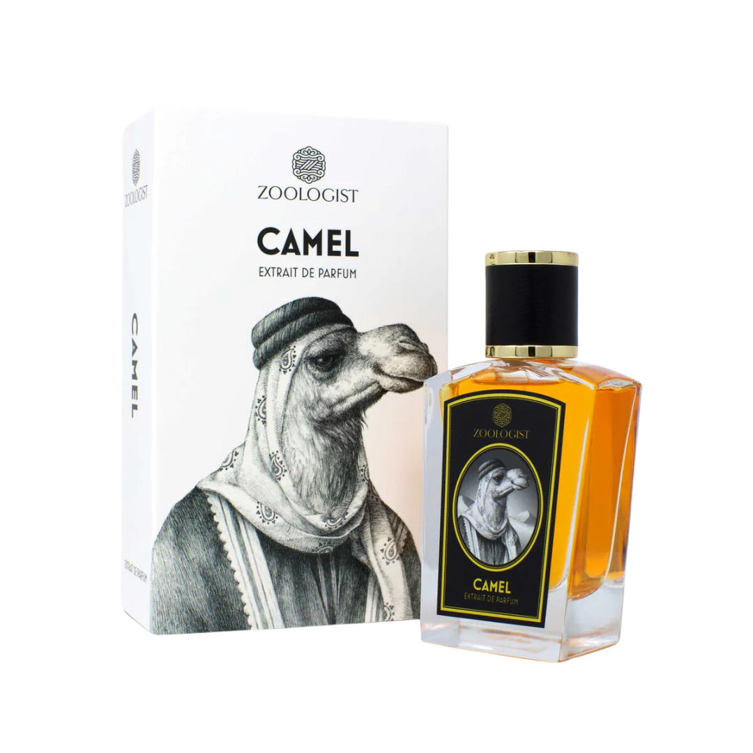 Camel