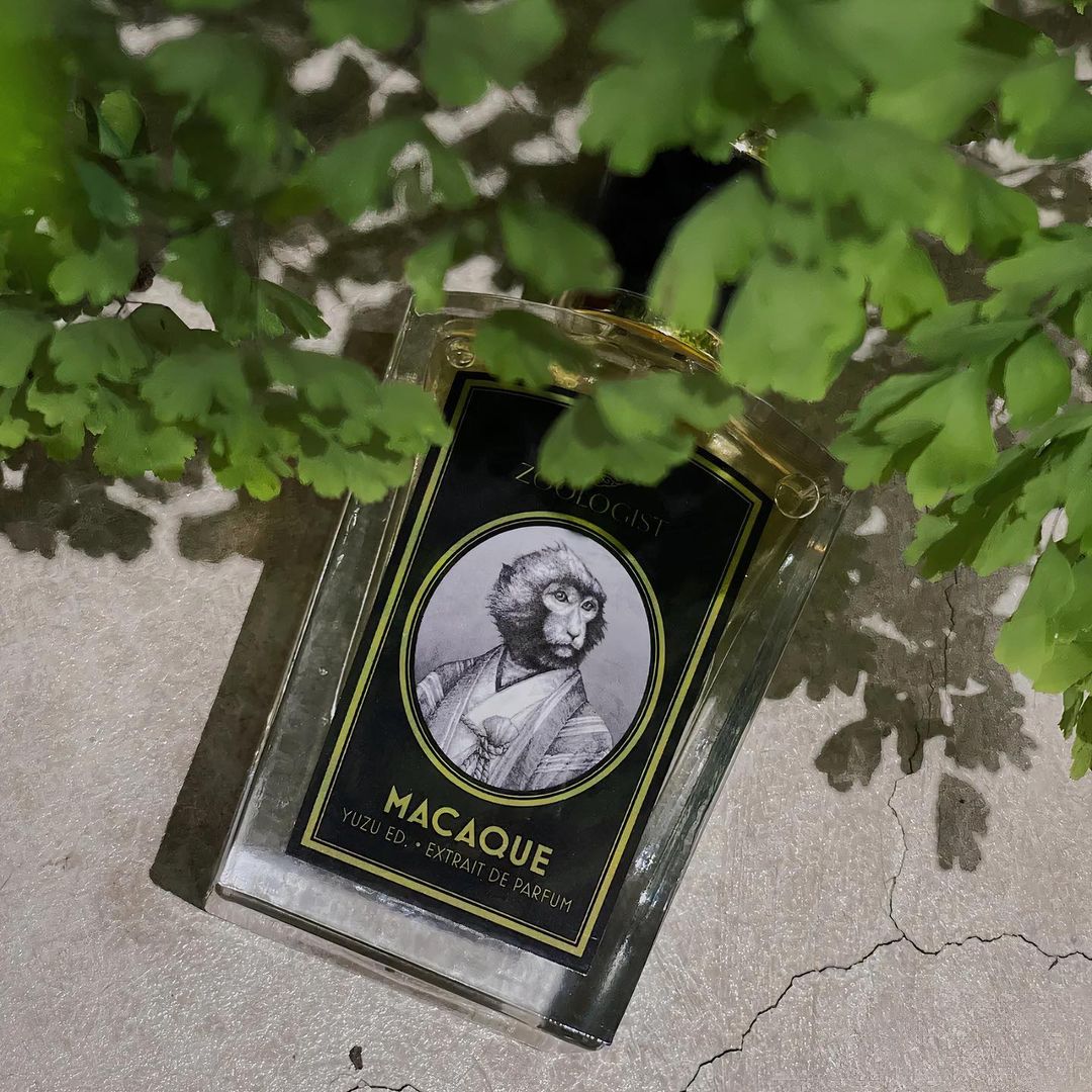 Macaque Yuzu Edition