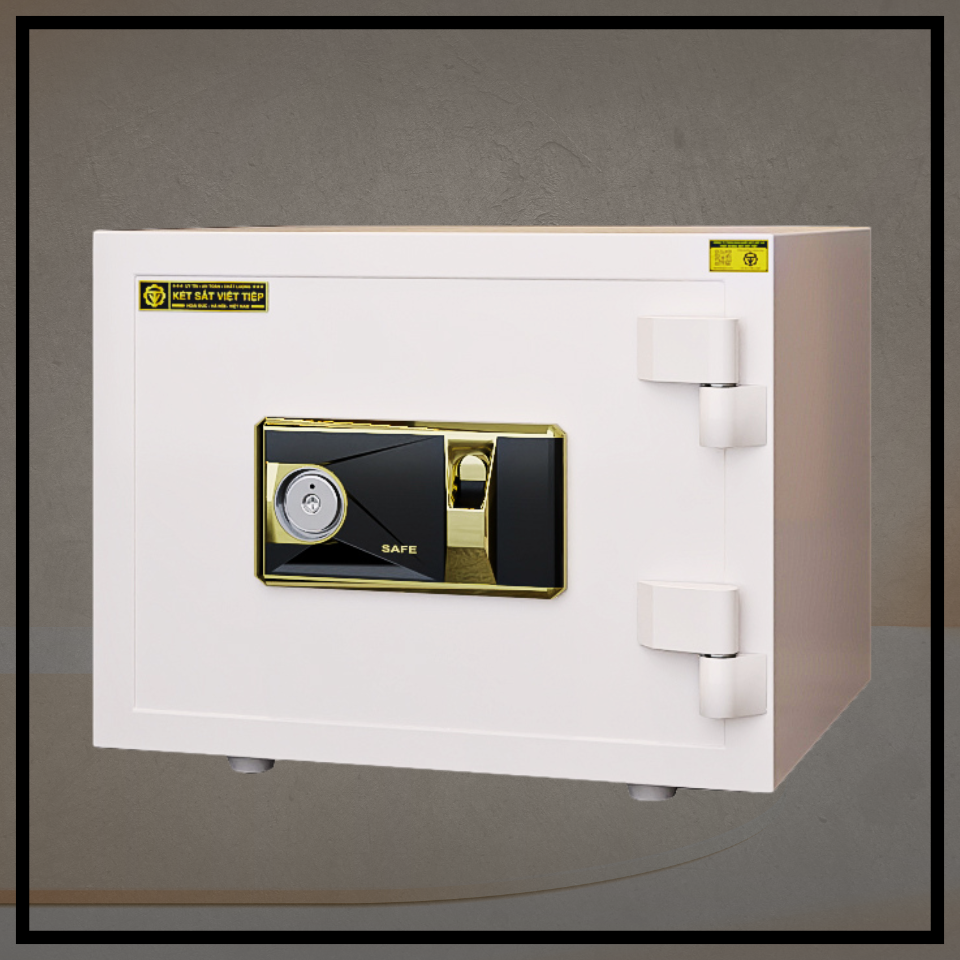 KÉT VIỆT TIỆP K38VT_KHOÁ VÂN TAY_38Kg