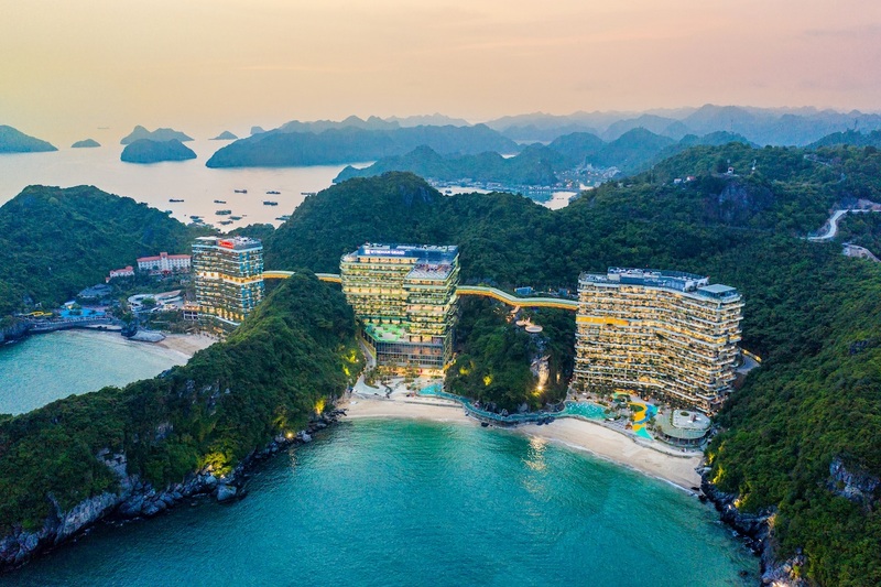 Forest on the Sea – Kỳ quan rực rỡ trên biển lớn