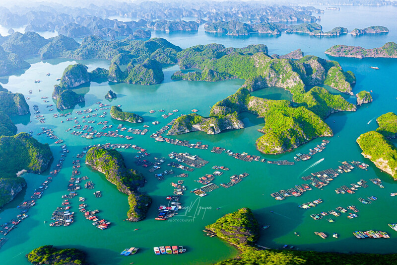 Làng chài cổ Cái Bèo