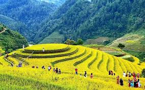 TOUR MÙ CANG CHẢI - SAPA - LAI CHÂU - ĐIỆN BIÊN - MỘC CHÂU - MAI CHÂU