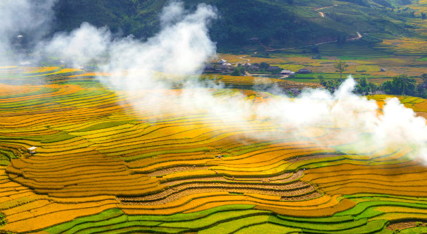 TOUR DU LỊCH MÙ CANG CHẢI MÙA LÚA CHÍN  2 NGÀY 1 ĐÊM