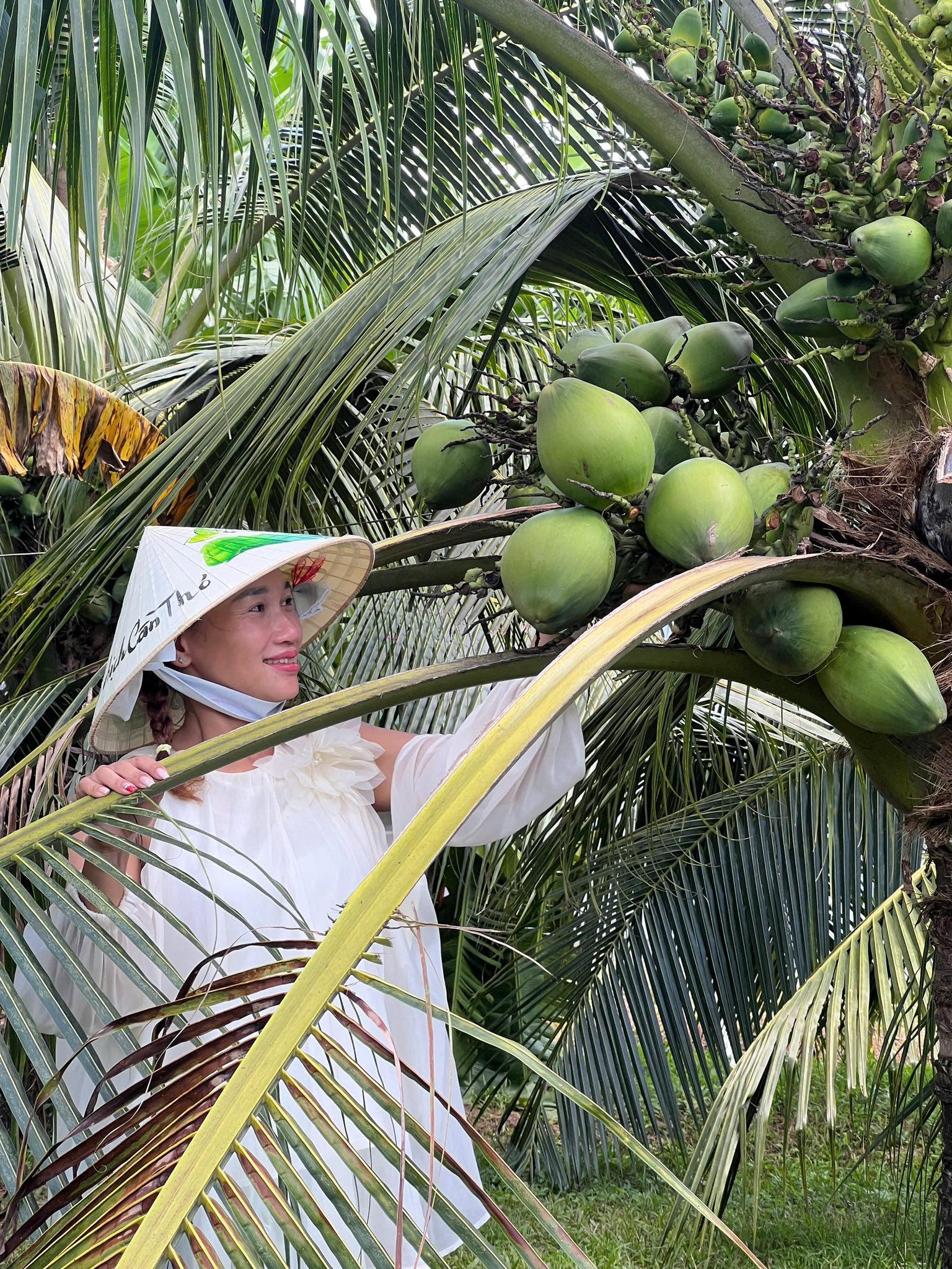 TOUR TRẢI NGHIỆM CỒN SƠN TRONG NGÀY