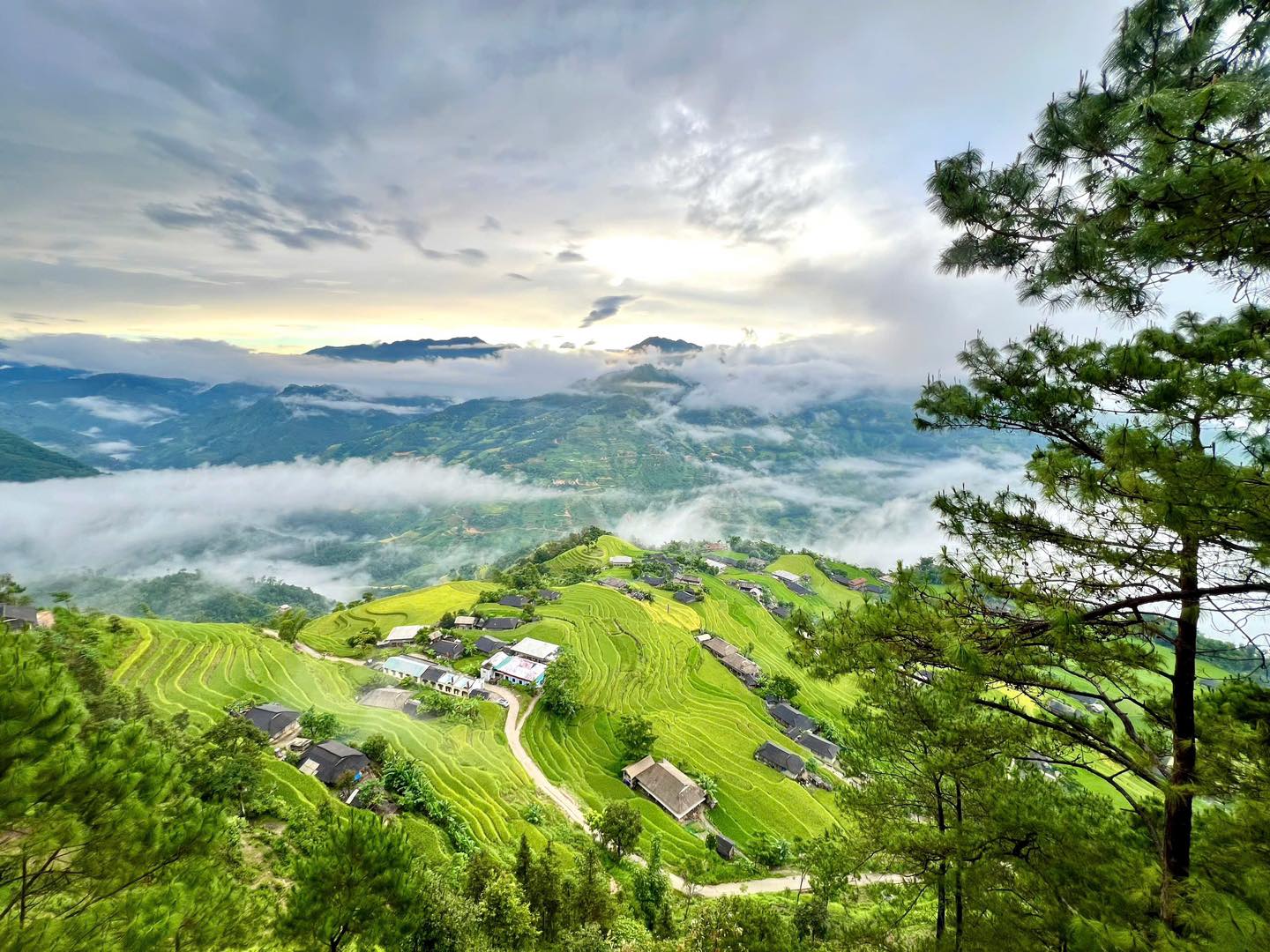 TOUR HÀ NỘI - HOÀNG SU PHÌ - BẢN PHÙNG - BẮC HÀ 3 NGÀY 2 ĐÊM