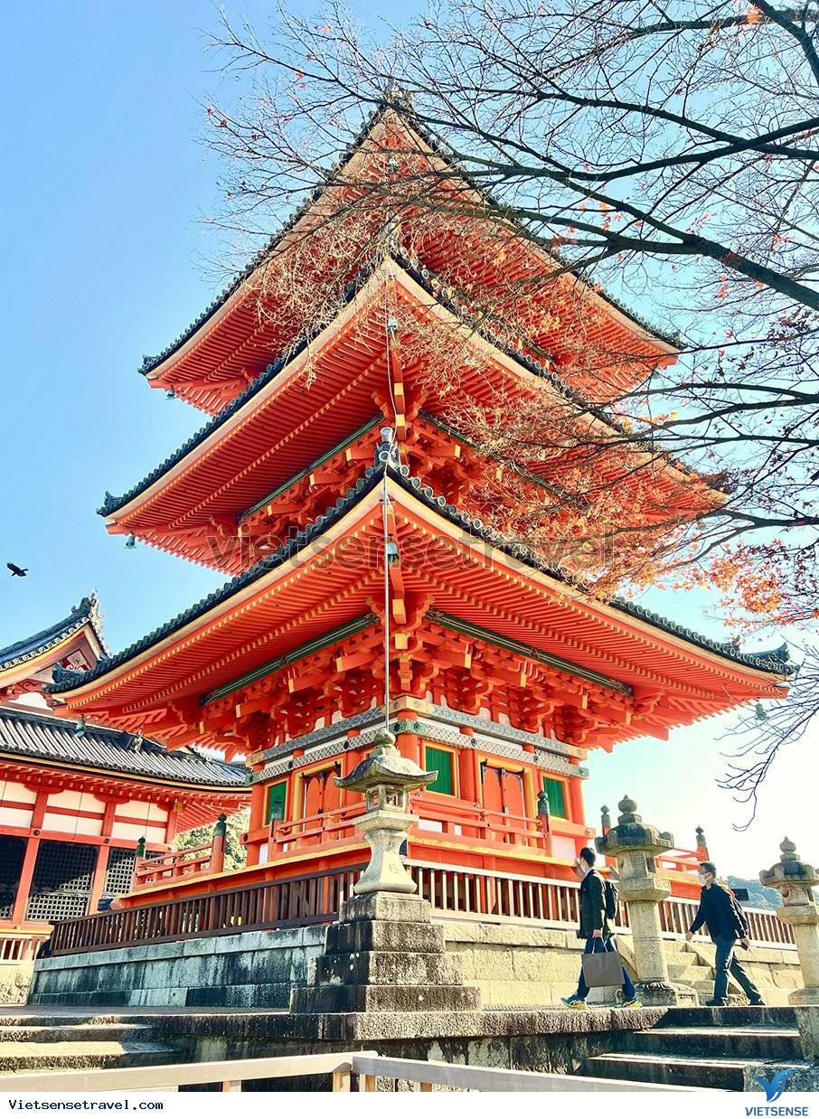 TOUR NHẬT BẢN GIÁ RẺ: SHIZUOKA - NÚI PHÚ SĨ - TOKYO