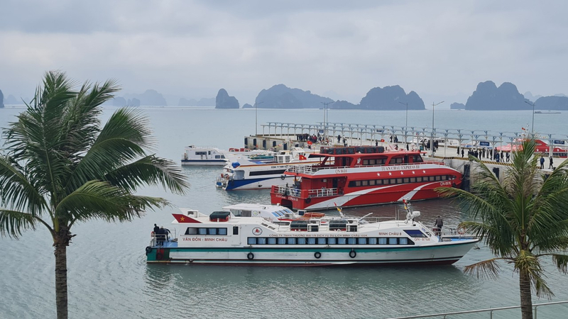 TOUR DU LỊCH BIỂN QUAN LẠN 2 NGÀY 1 ĐÊM