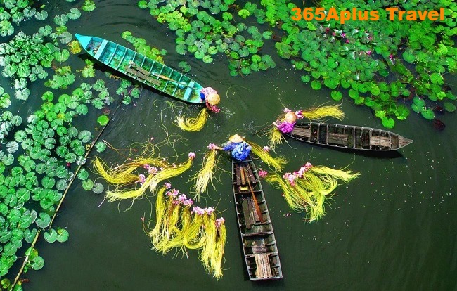 HÀ NỘI - CẦN THƠ - CÀ MAU - HỒ CHÍ MINH 5 NGÀY 4 ĐÊM