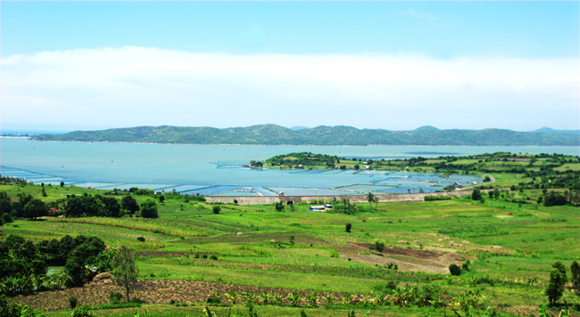 TOUR DU LỊCH BẮC NINH - QUY NHƠN - TUY HÒA 4 NGÀY 3 ĐÊM