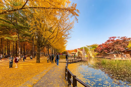 TOUR DU LỊCH KHÁM PHÁ HÀN QUỐC 5 NGÀY 4 ĐÊM