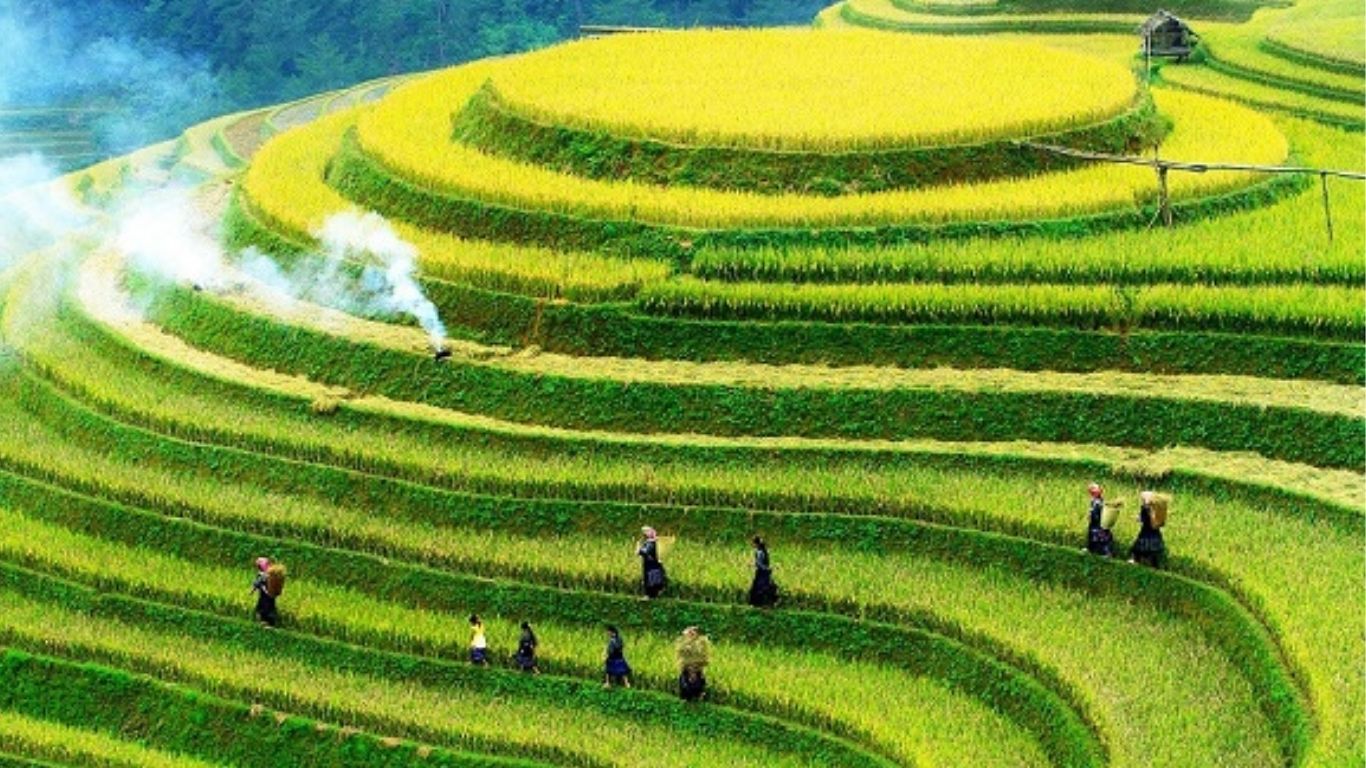 [3 Days 2 Nights] Hanoi – Mu Cang Chai – Ngoc Chien Hot Spring Village Group Tour