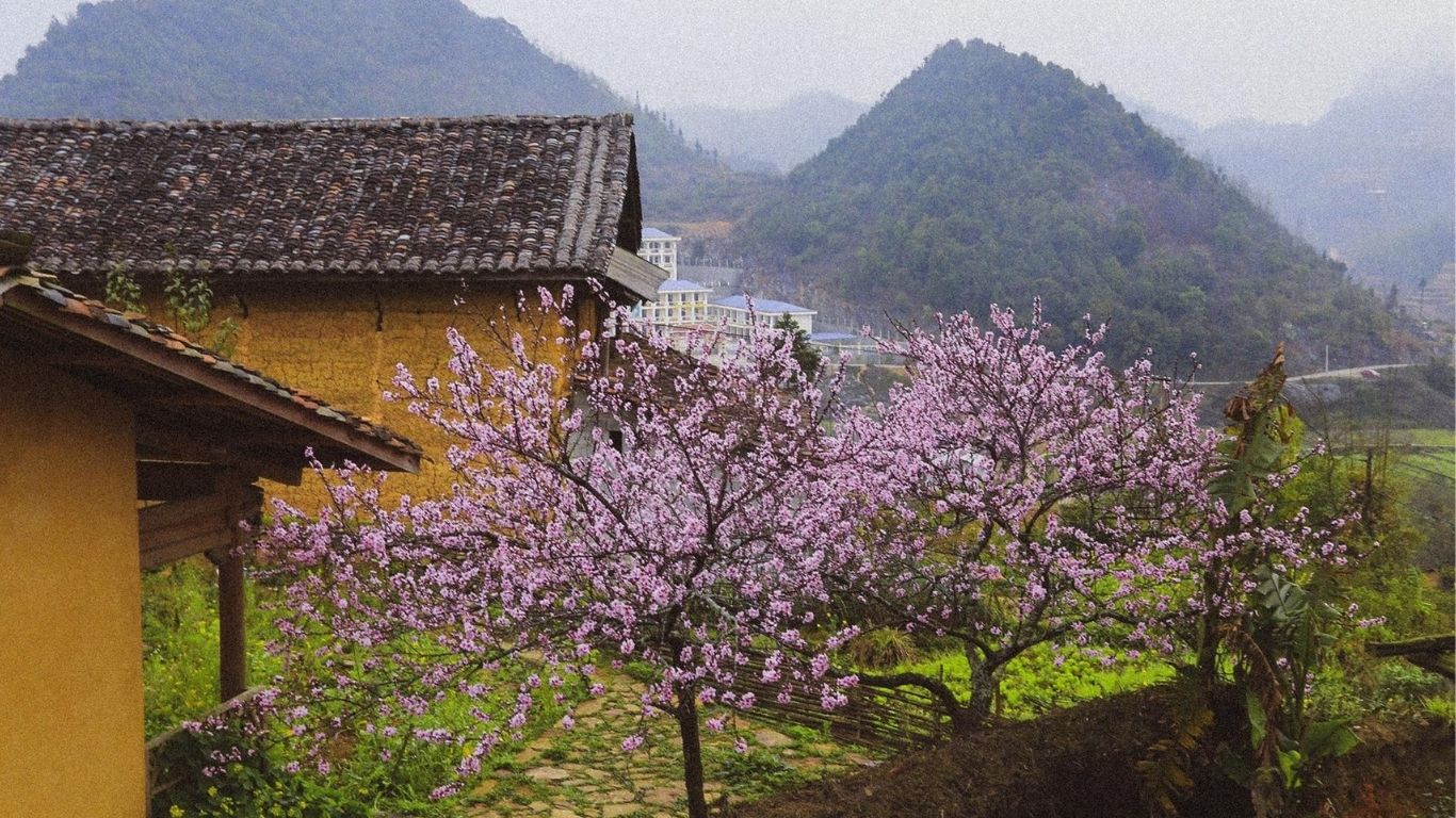 [3 Days 2 Nights] Hanoi – Ha Giang - Ha Noi Group Tour