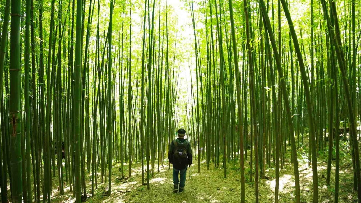 [3 Days 2 Nights] Hanoi – Mu Cang Chai – Ngoc Chien Hot Spring Village Group Tour