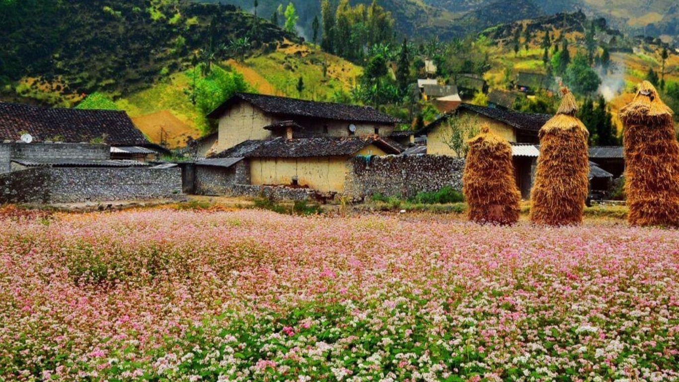 [3 Days 2 Nights] Hanoi – Ha Giang - Ha Noi Group Tour