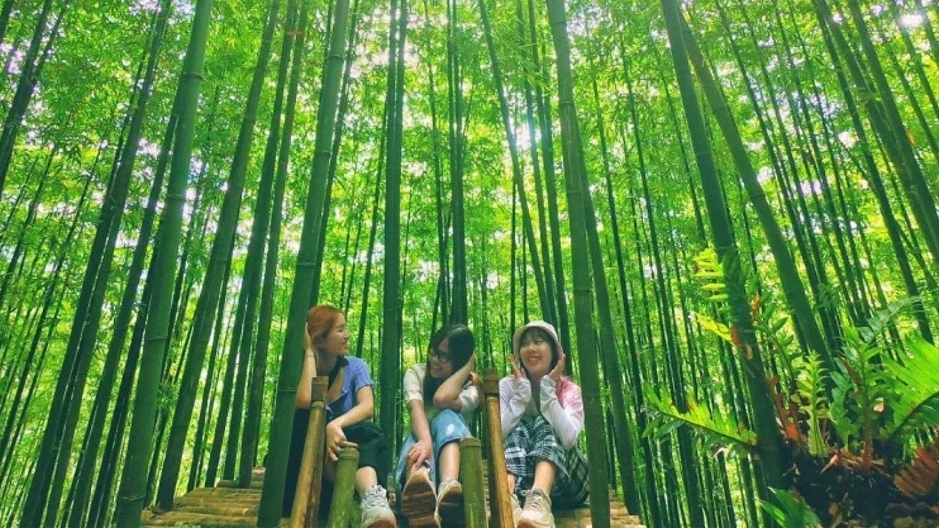 [3 Days 2 Nights] Hanoi – Mu Cang Chai – Ngoc Chien Hot Spring Village Group Tour