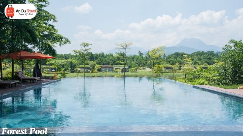 5 Star - Flamingo Dai Lai Resort