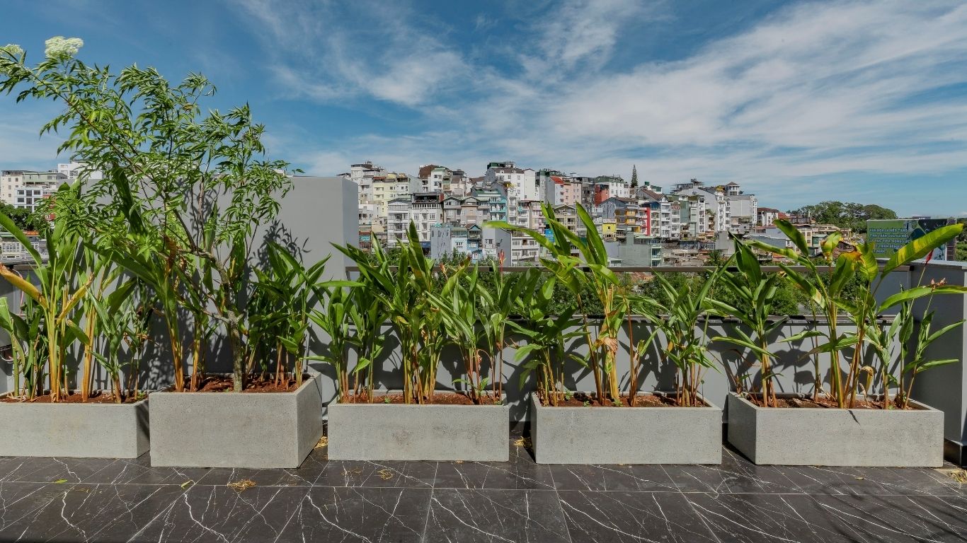 2 Star - The Elite Hotel Da Lat