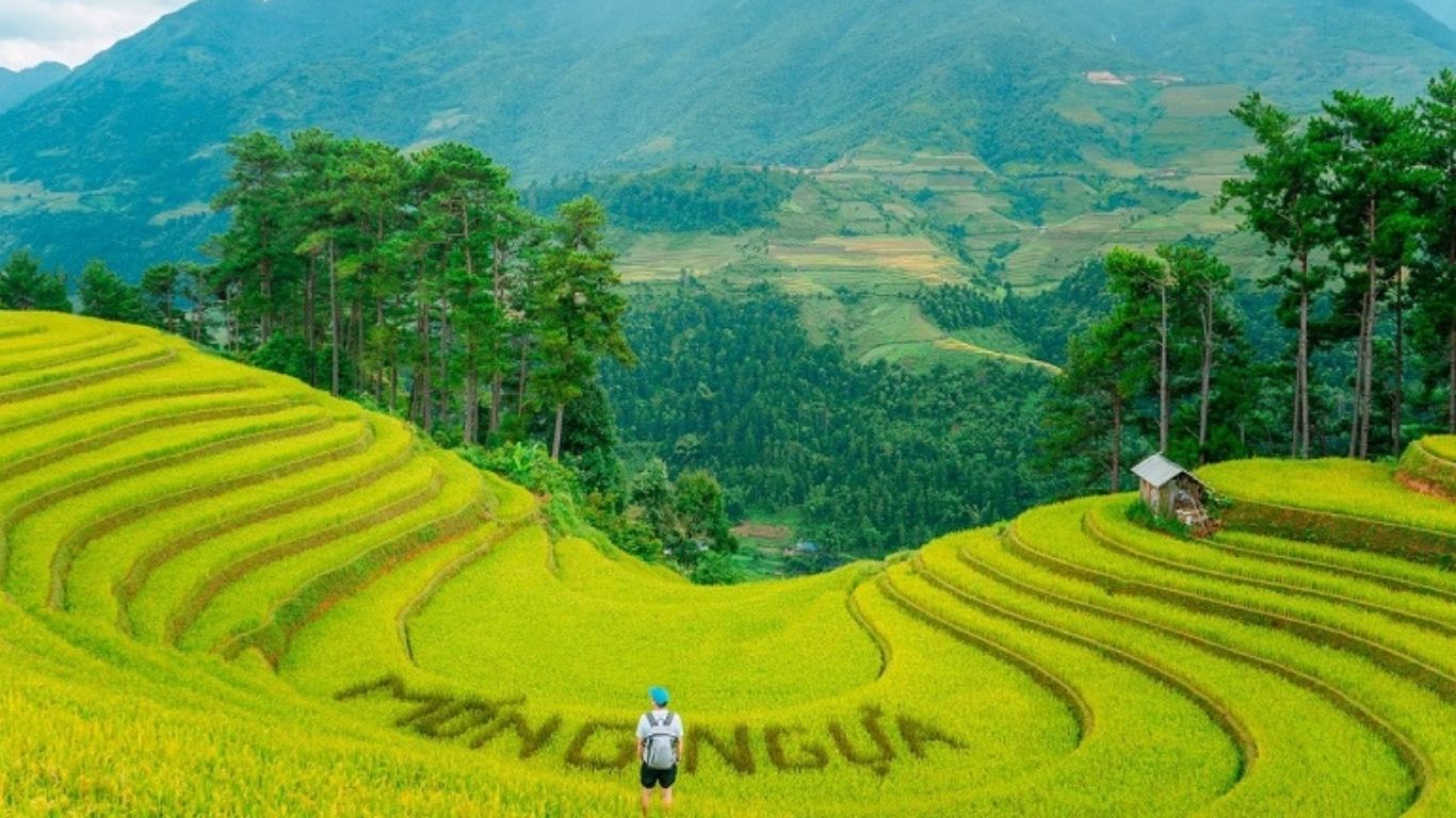 [3 Days 2 Nights] Hanoi – Mu Cang Chai – Ngoc Chien Hot Spring Village Group Tour