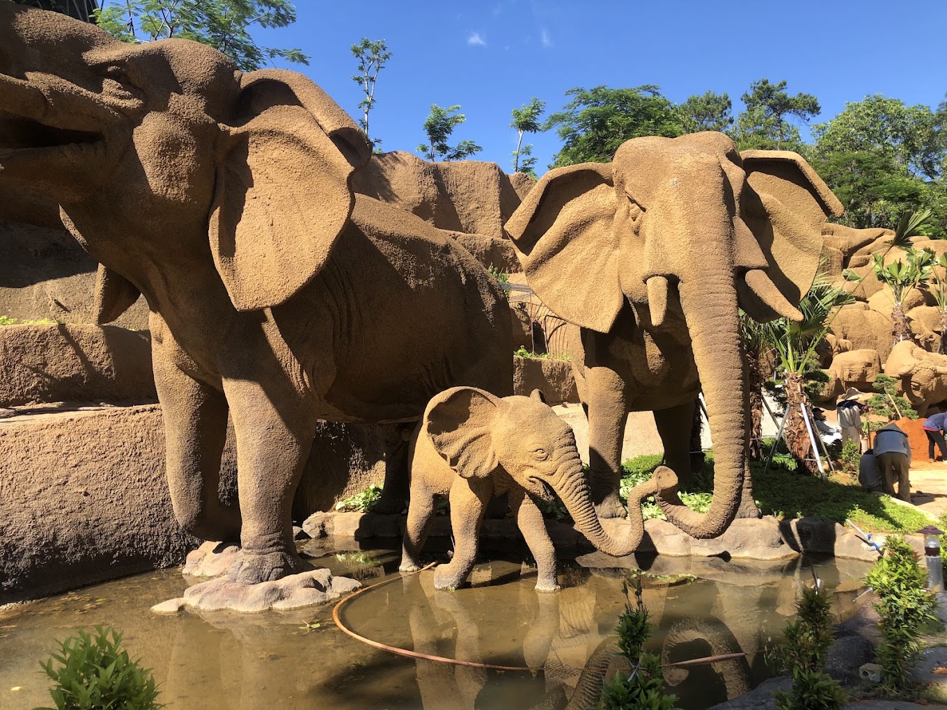 ADMISSION TICKETS AT TUAN CHAU PARK