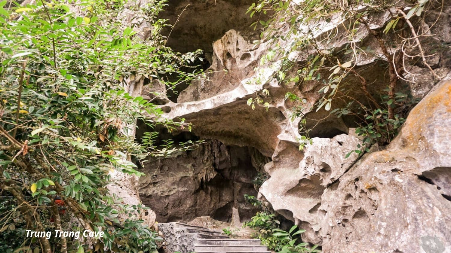 [2D1N] Ambassador Signature Cruise