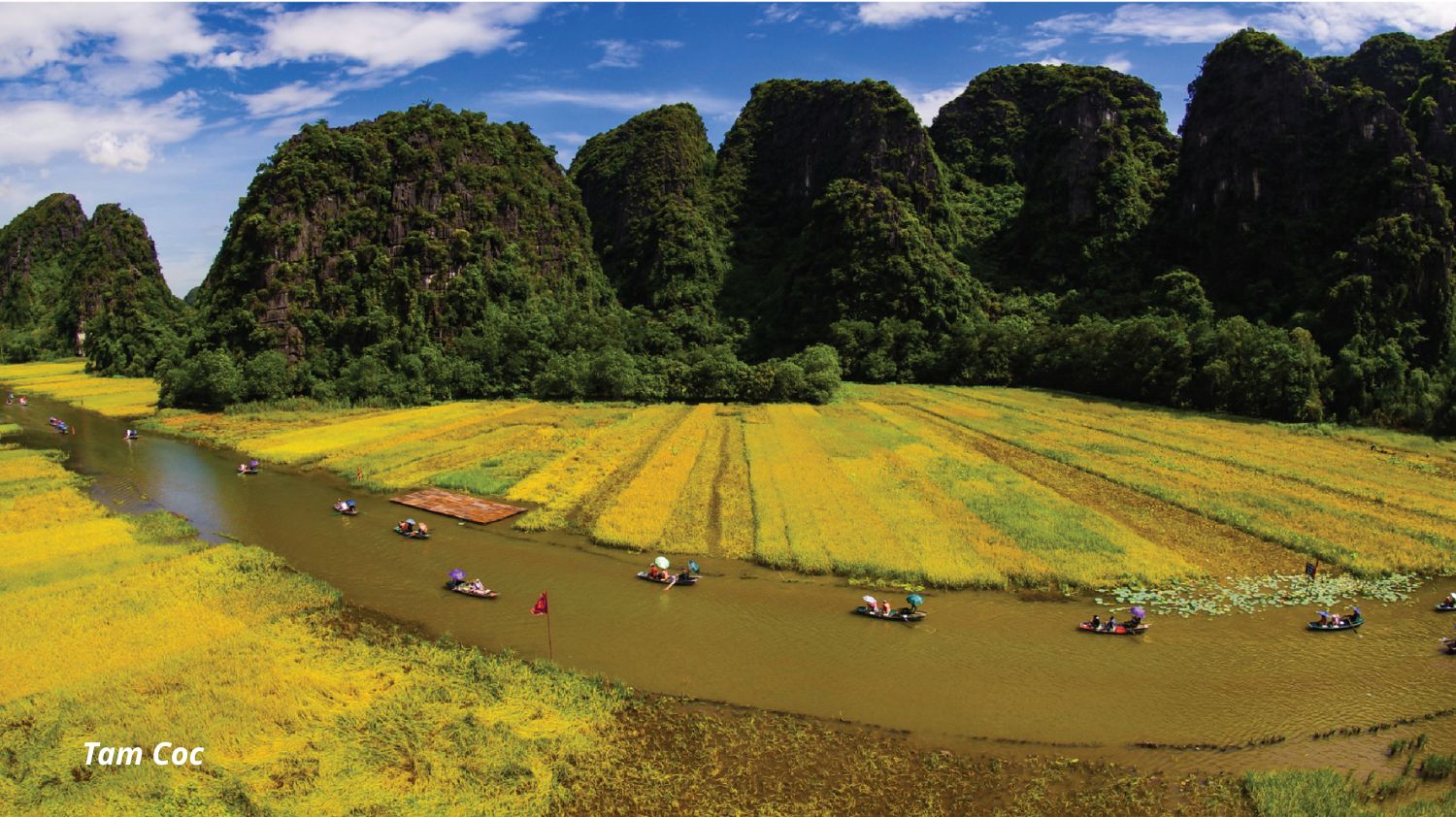 Hoa Lu - Tam Coc (or Trang An) Full Day Tour