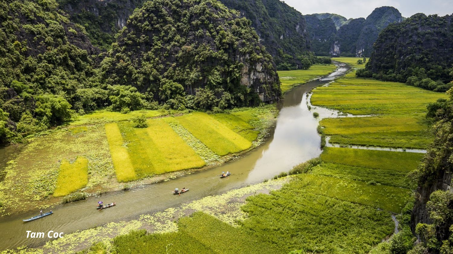 Hoa Lu - Tam Coc (or Trang An) Full Day Tour