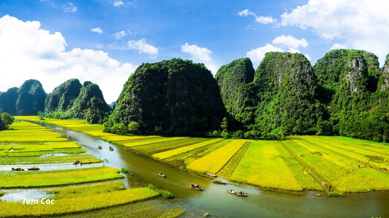 Hoa Lu - Tam Coc (or Trang An) Full Day Tour