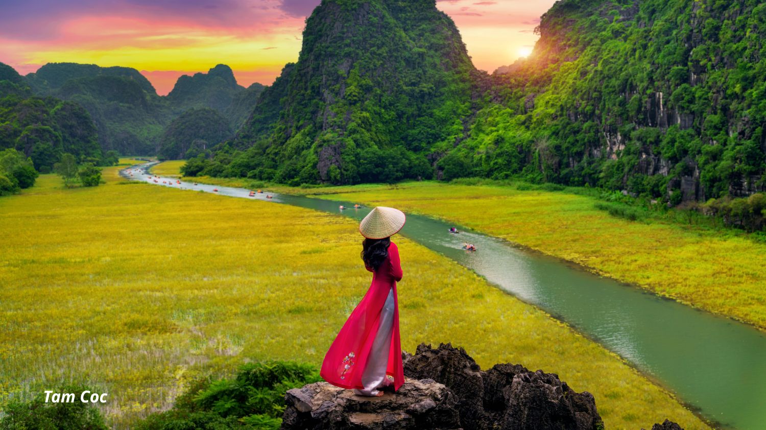 Hoa Lu - Tam Coc (or Trang An) - Mua Cave Full Day Tour