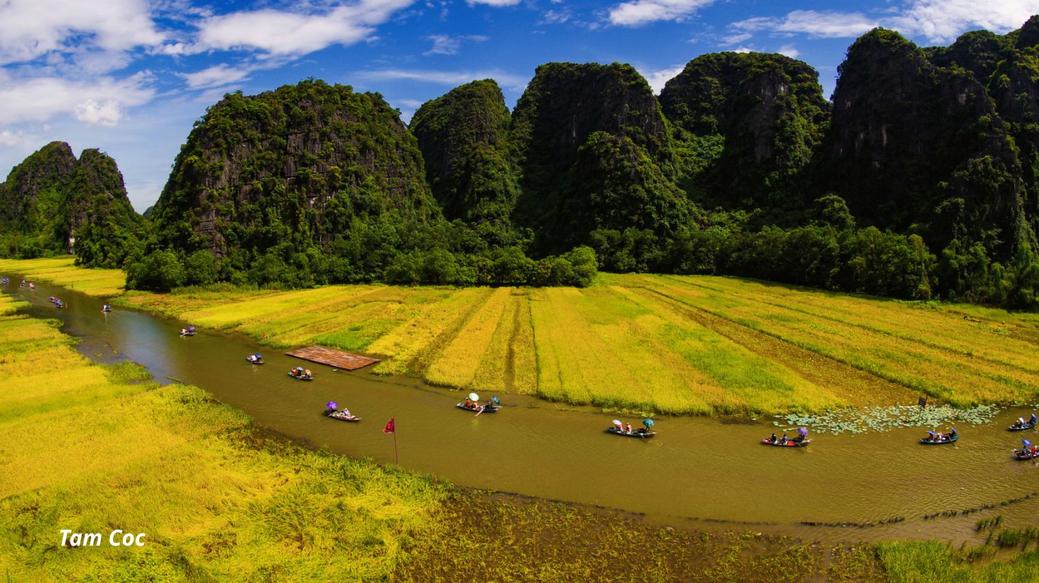 Hoa Lu - Tam Coc (or Trang An) Full Day Tour