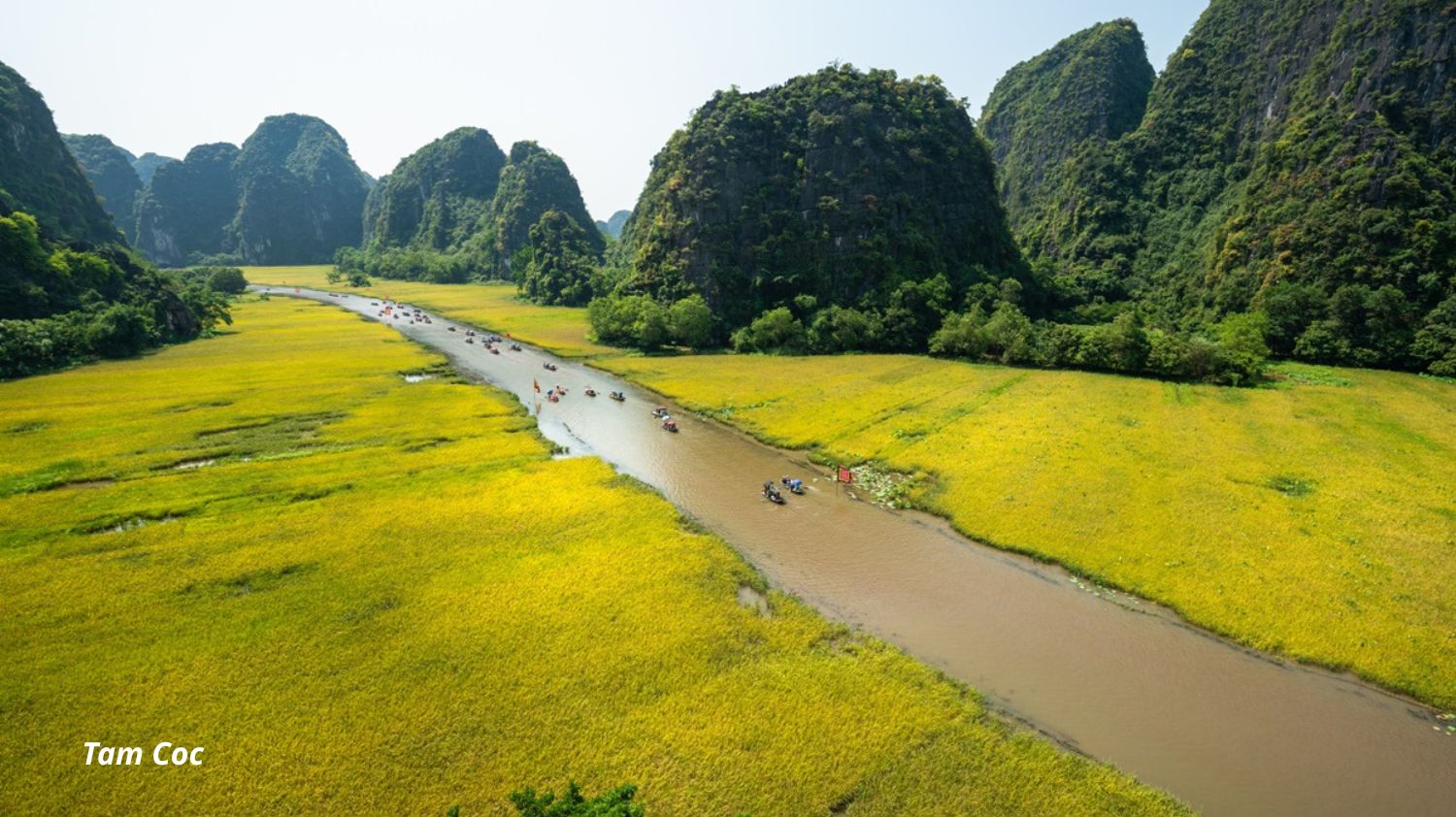 Hoa Lu - Tam Coc (or Trang An) - Mua Cave Full Day Tour