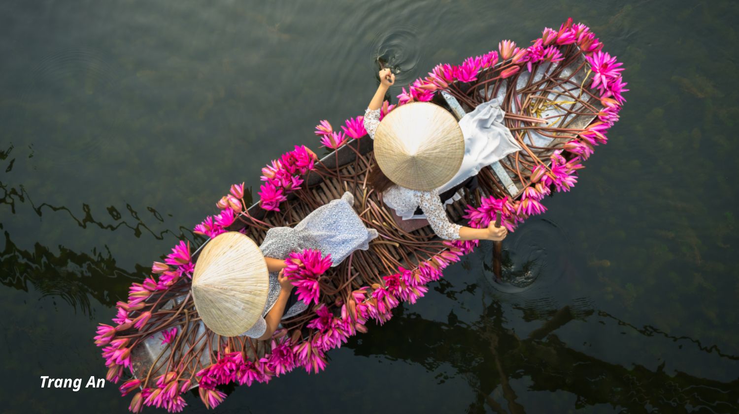 Bai Dinh - Trang An Full Day Tour