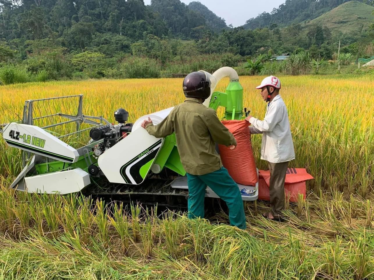 Tổng hợp những dòng máy gặt lúa mini nhẹ