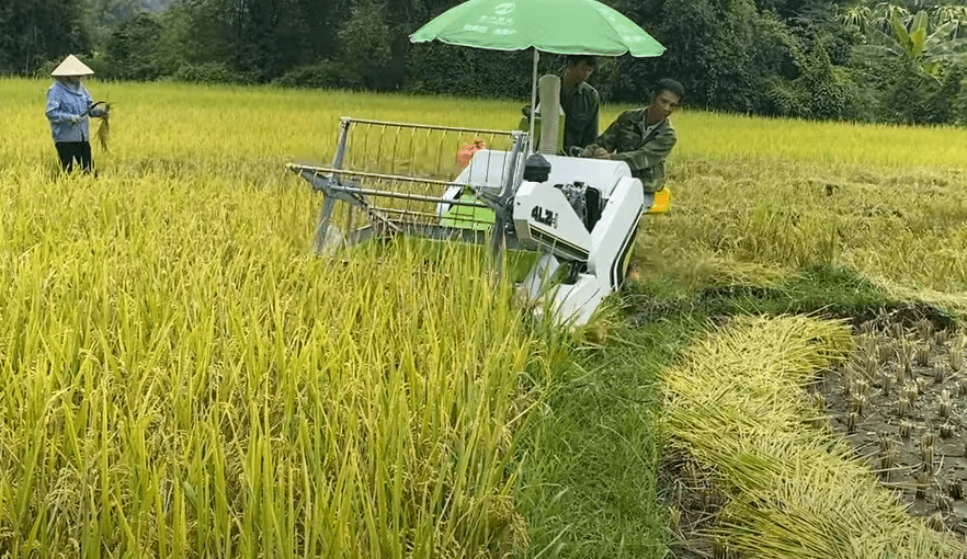 5 lý do bạn nên mua máy gặt lúa mini