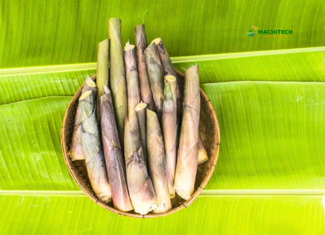 Đặc sản măng le Tây Nguyên