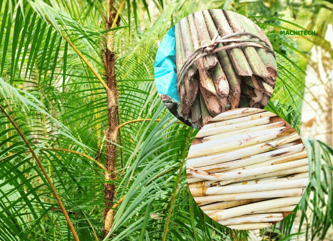 Đọt mây và nét ẩm thực độc đáo của Tây Nguyên