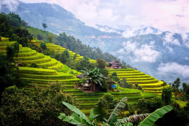 Lưu ý khi du lịch Hà Giang mùa lúa chín