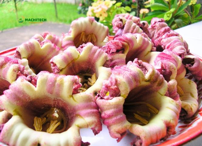 Hoa kè đặc sản Tây Bắc