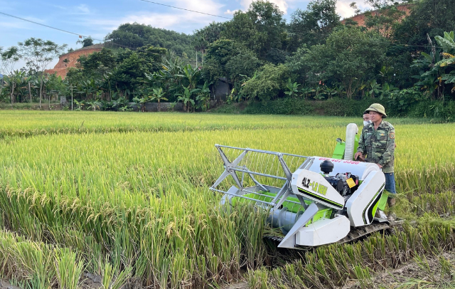 Kinh nghiệm mua máy gặt cũ