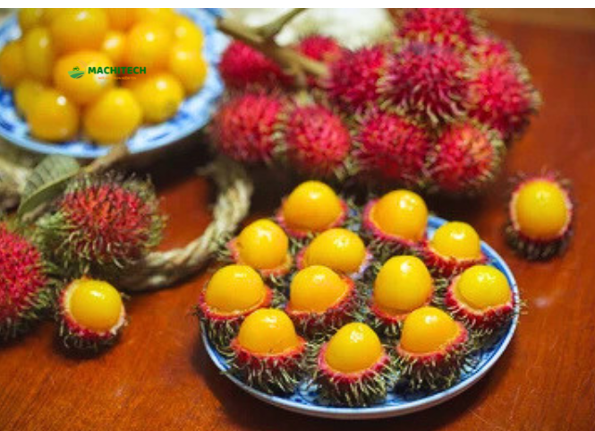 Quả chôm chôm rừng Tây Nguyên