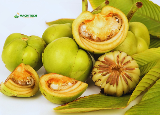 Quả sổ Tây Bắc đặc sản núi rừng